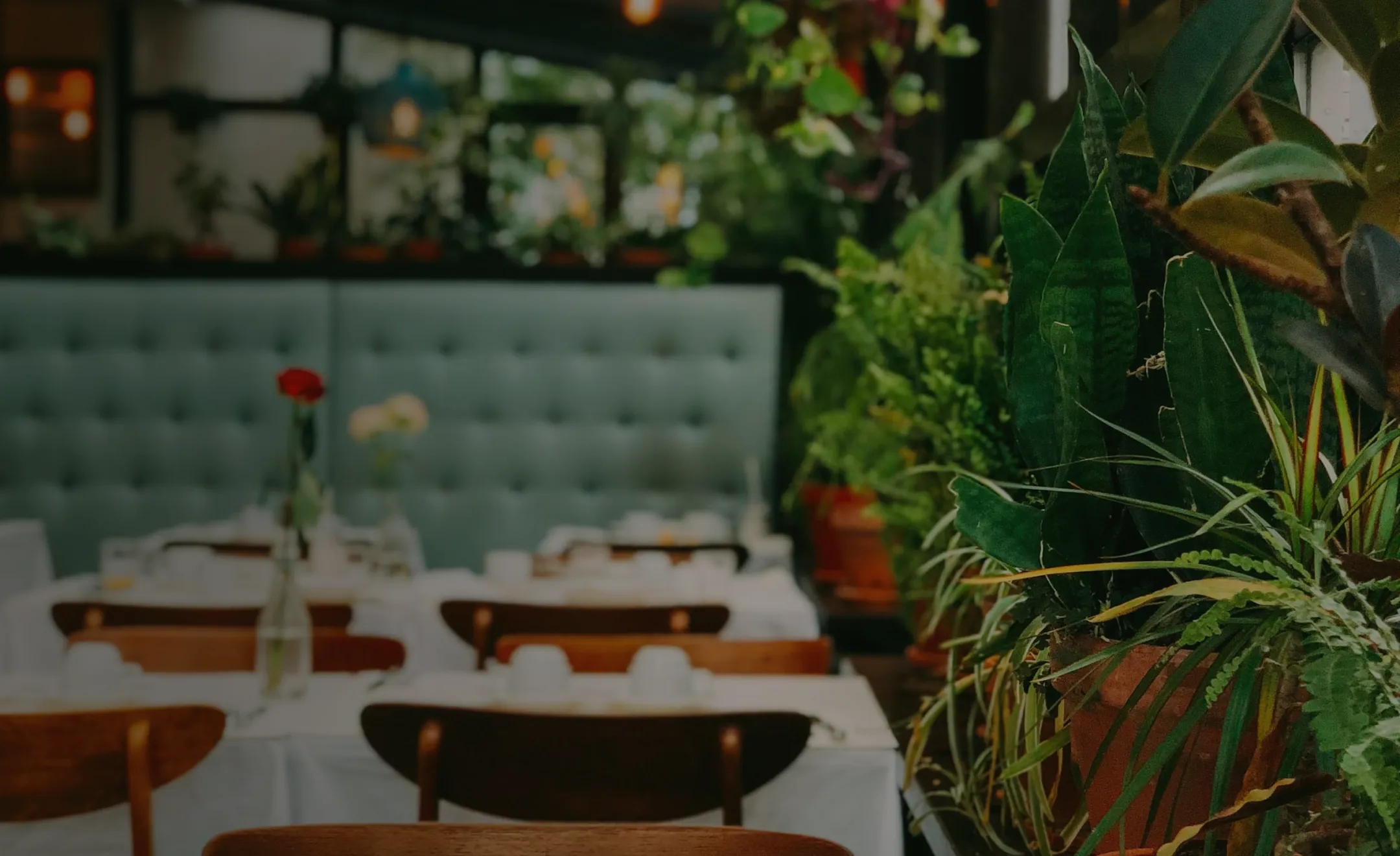 A table in a restaurant